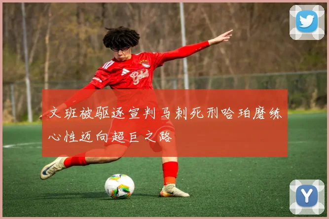 文班被驱逐宣判马刺死刑哈珀磨练心性迈向超巨之路