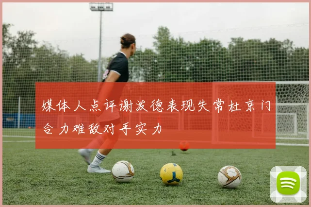 媒体人点评谢泼德表现失常杜京门合力难敌对手实力